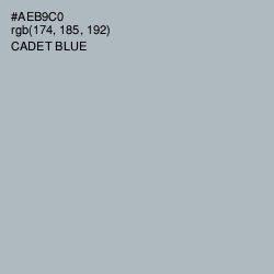 #AEB9C0 - Cadet Blue Color Image